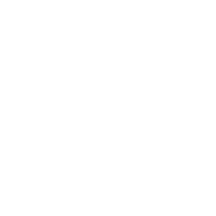 彩
