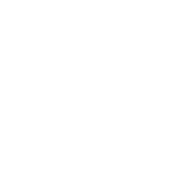 紫